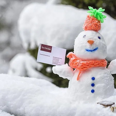 Johannesbad St. Georg Hotel Bad Hofgastein